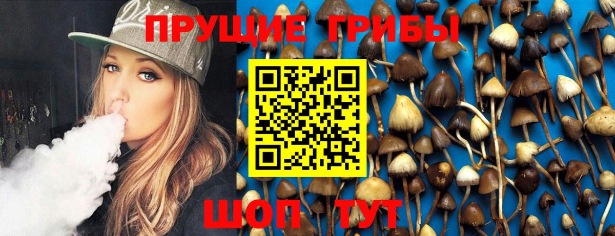 Псилоцибиновые грибы Psilocybe  Галлюциногенные грибы прущие грибы  Салехард  Вход с VPN 